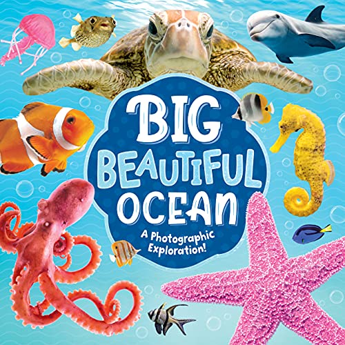 Image:Big Beautiful Ocean. Picture Book for 3 Year Olds