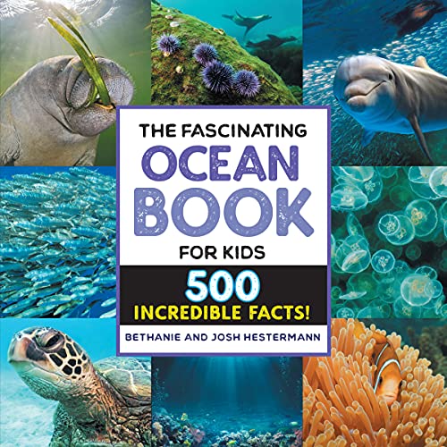 Image:The Fascinating Ocean Book for Kids