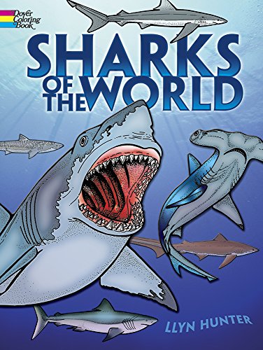 Image: Sharks of the World Coloring Book