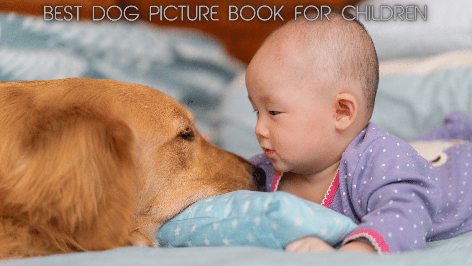 Cover photo for dog picture book