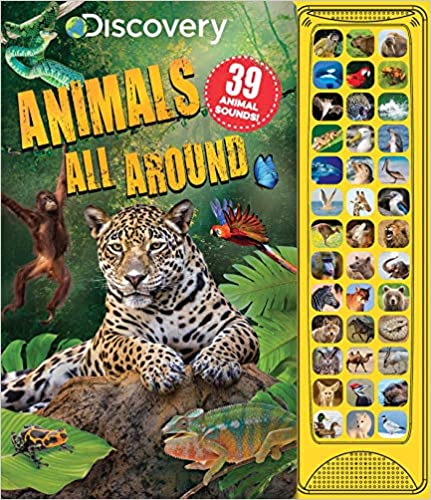 sound books for 2 year old.. Discovery: Animals All Around by Courtney Acampora (Author)