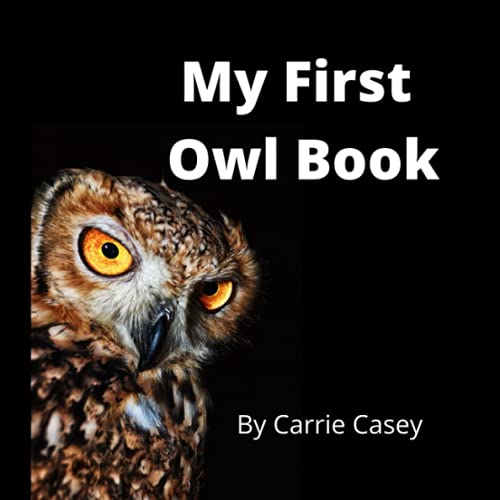  My First Owl Book by Carrie E. Casey (Author), Joanna Casey (Editor).Best bird books for preschool 