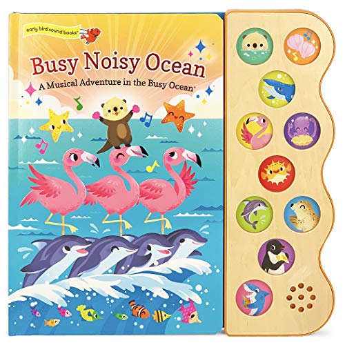 Children’s bird books with sound. Busy Noisy Ocean  by Carmen Crowe (Author), Cottage Door Press (Author, Editor), Yi-Hsuan Wu (Illustrator)