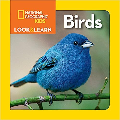 National Geographic Kids Look and Learn by National Geographic Kids (Author)