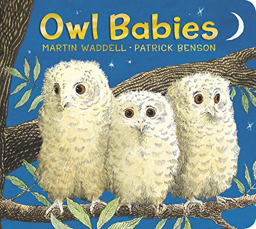  Owl Babies by Martin Waddell (Author), Patrick Benson (Illustrator).Best bird books for preschool 