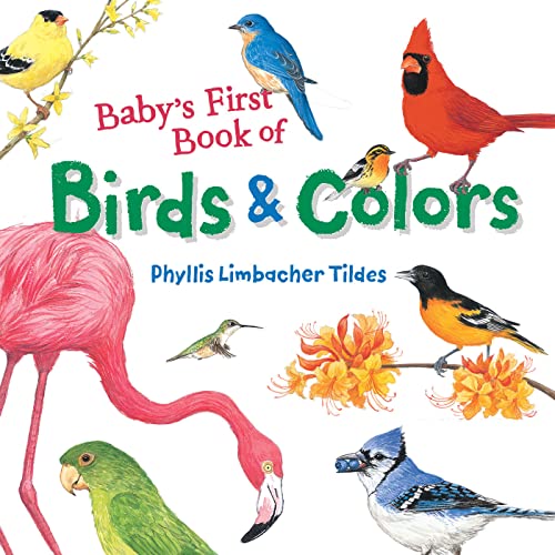 Baby's First Book of Birds & Colors by Phyllis Limbacher Tildes (Author, Illustrator)