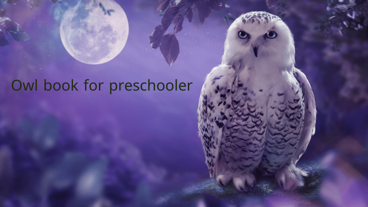 Cover photo for blog post"bird book for preschooler about owl"