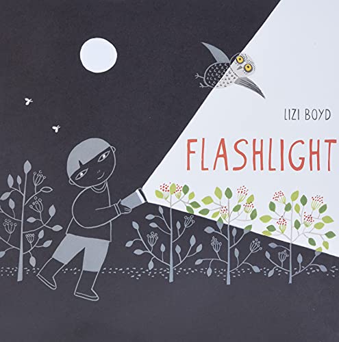 Flashlight by Lizi Boyd (Author)