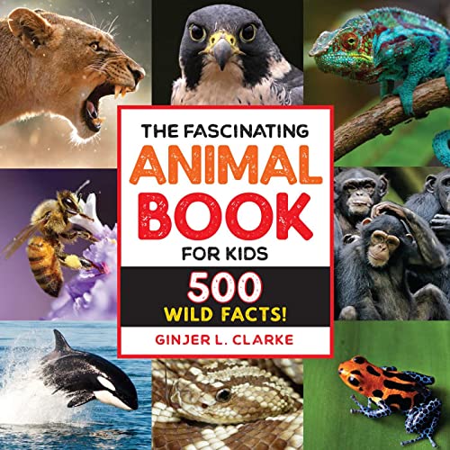 The Fascinating Animal Book for Kids (Top rated picture books for Wild Fascinating Facts)
