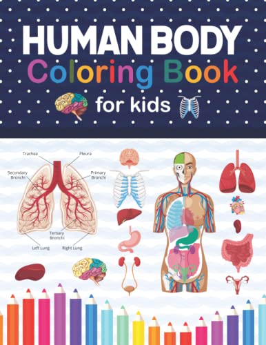 Human Body Coloring Book For Kids. best coloring Human Body Book For 5 year olds