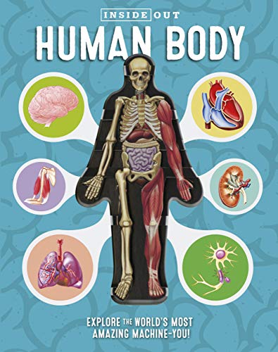 Inside Out Human Body Author: Luann Columbo
