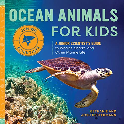 Ocean Animals for Kids by Bethanie Hestermann (Author), Josh Hestermann (Author). chapter books about ocean books for 3-5 year old.